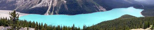 Peto Lake im Banff National Park