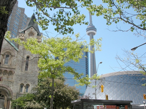 CN Tower mit Massey Hall im Vordergrund.